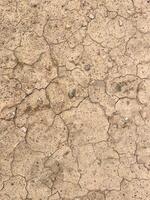 Cracked earth texture for nature background photo