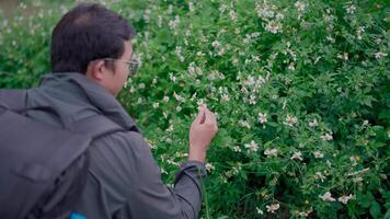A man carrying a bag explores a field of wildflowers. Hiking in the wet forest Capture the beauty of nature and the wonder of botany video