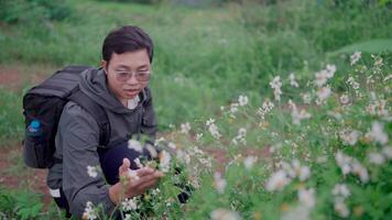 Man carrying a bag hiking in the wet forest Sitting and admiring the beautiful wild flowers. Adventure in peaceful nature Immerse yourself in the beauty of nature, the camera angle is zooming in video