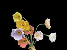 Beautiful colorful floral abstract with copy space background. Colorful flowers on copy space frame. photo