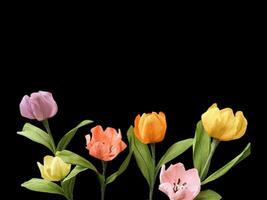 Beautiful spring lilies with copy space background. Lilies on copy space frame. photo