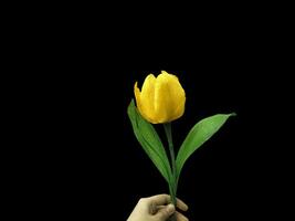 Beautiful spring lilies with copy space background. Lilies on copy space frame. photo
