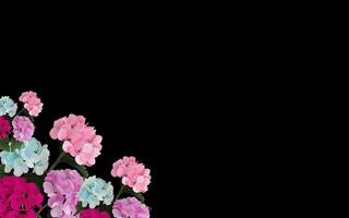Beautiful colorful floral abstract with copy space background. Colorful flowers on copy space frame. photo