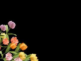 Beautiful colorful floral abstract with copy space background. Colorful flowers on copy space frame. photo
