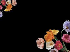 Beautiful colorful floral abstract with copy space background. Colorful flowers on copy space frame. photo