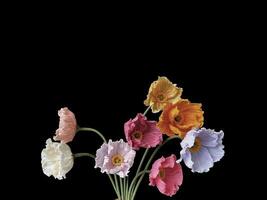 Beautiful colorful floral abstract with copy space background. Colorful flowers on copy space frame. photo