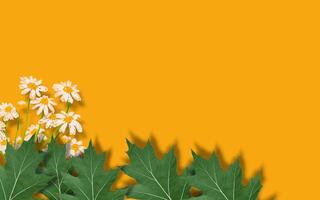 Floral green leaves banner background on autumn holiday. autumn leaves and flowers on copy space background. photo