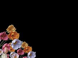 Beautiful colorful floral abstract with copy space background. Colorful flowers on copy space frame. photo