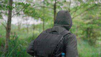 Slow motion image of a man wearing a green hooded jacket. A backpack is available for summer walks along the forest trails. video