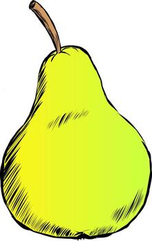 A yellow pear with a stick is drawn with a torn black outline in the sketch style. illustration vector