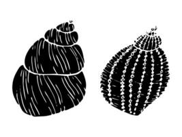 A set of seashell silhouette illustrations. Hand drawn maritime seashells sketch. Undersea seashells outline drawing. Design elements for icon, logo, seafood shop, menu. vector
