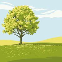 tree in a wide, open meadow vector
