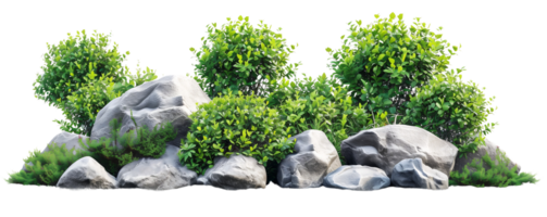 cluster of large rocks are surrounded by an abundance of verdant foliage isolated on transparent background png