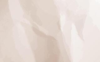 modern abstract background gradients white and brown color paper texture vector