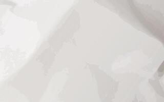 modern abstract white and grey gradients color with texture background vector
