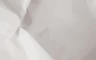 modern abstract white and grey gradients color with texture background vector
