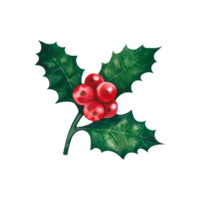Holly Christmas berries. Watercolor illustration. Isolate. For the design of invitation and greeting cards, packaging png