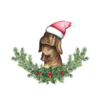 Christmas composition with a rabbit. Watercolor illustration. Rabbit in a Santa Claus hat on fir branches. png