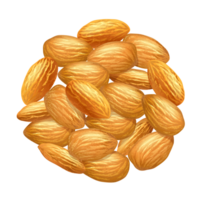 Pile of Almonds on Transparent Background png