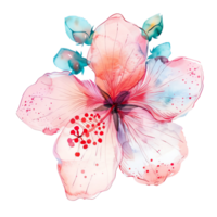 A beautiful watercolor painting of a pink hibiscus flower with detailed petals and vibrant colors, perfect for artistic and decorative purposes. png
