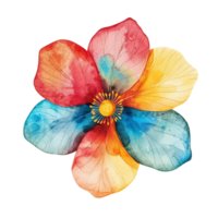 Vibrant watercolor flower with multicolored petals, perfect for creative and artistic projects in need of a colorful floral element. png