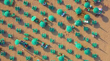 Top view of colorful umbrellas on the beach. Aerial view of a pattern of summer, relaxation, tourism, summer vibes. Top view of Italian and European beaches, beach and Mediterranean summer. video