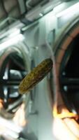 marinated pickled cucumber floating in internation space station video