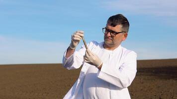 Senior scientist studying sample of soil in field. Soil sampling for chemical analysis and ph test. Agrochemical analysis soil and greenhouse soil for fertility video