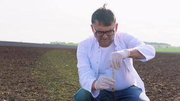 Senior scientist studying sample of soil in field. Soil sampling for chemical analysis and ph test video
