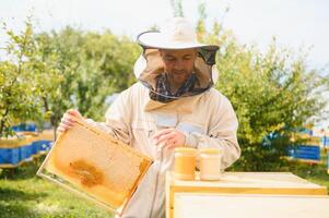 Beekeeper is working with bees and beehives on the apiary. Beekeeping concept photo