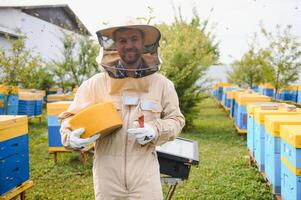 Beekeeper is working with bees and beehives on apiary. Bees on honeycomb. Frames of bee hive. Beekeeping. Honey. Healthy food. Natural products. photo