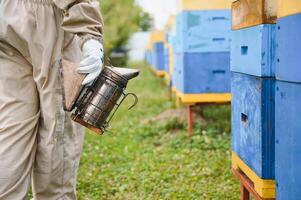 Beekeeper is working with bees and beehives on apiary. Bees on honeycomb. Frames of bee hive. Beekeeping. Honey. Healthy food. Natural products. photo
