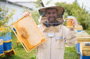 Beekeeper is working with bees and beehives on apiary. Bees on honeycomb. Frames of bee hive. Beekeeping. Honey. Healthy food. Natural products. photo