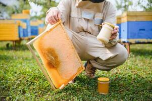Beekeeper is working with bees and beehives on apiary. Bees on honeycomb. Frames of bee hive. Beekeeping. Honey. Healthy food. Natural products. photo