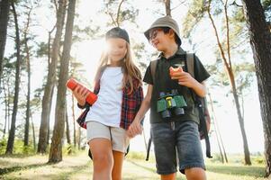 Two happy children having fun during forest hike on beautiful day in pine forest. Cute boy scout with binoculars during hiking in summer forest. Concepts of adventure, scouting and hiking tourism photo