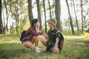 Kids exploring nature with magnifying glass. Summer activity for inquisitive child. photo