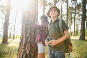 Two happy children having fun during forest hike on beautiful day in pine forest. Cute boy scout with binoculars during hiking in summer forest. Concepts of adventure, scouting and hiking tourism photo