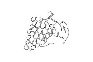 Fruits concept. Single line draw design graphic illustration. vector