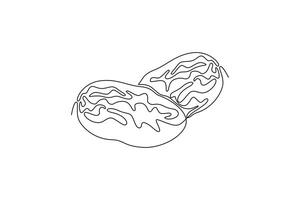 Fruits concept. Single line draw design graphic illustration. vector