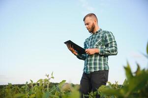 Young agronomist holds tablet touch pad computer in the soy field and examining crops before harvesting. Agribusiness concept. agricultural engineer standing in a soy field with a tablet in summer. photo