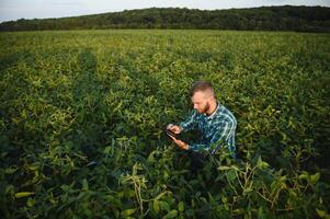 Young agronomist holds tablet touch pad computer in the soy field and examining crops before harvesting. Agribusiness concept. agricultural engineer standing in a soy field with a tablet in summer. photo