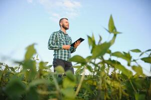 Young agronomist holds tablet touch pad computer in the soy field and examining crops before harvesting. Agribusiness concept. agricultural engineer standing in a soy field with a tablet in summer. photo