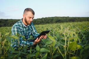 Young agronomist holds tablet touch pad computer in the soy field and examining crops before harvesting. Agribusiness concept. agricultural engineer standing in a soy field with a tablet in summer. photo