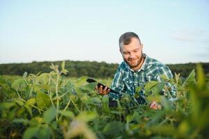 Young agronomist holds tablet touch pad computer in the soy field and examining crops before harvesting. Agribusiness concept. agricultural engineer standing in a soy field with a tablet in summer. photo