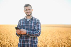agronomist or farmer examining crop of soybeans field. photo