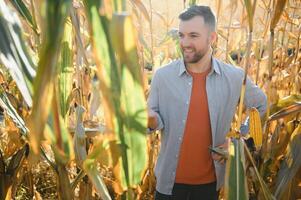 A man inspects a corn field and looks for pests. Successful farmer and agro business. photo
