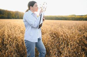 Young farmer woman standing in soy field in summer time, holding tablet and monitoring crop growth photo