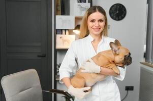 Happy veterinarian doctor hugs puppy in vet clinic. Empty space for text. photo