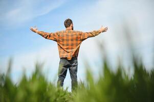 Portrait of farmer in wheat field. A handsome farmer or agronomist is working in the field photo