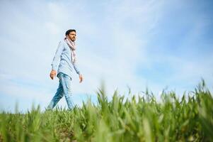 Portrait of farmer standing in a wheat field. farmer stands in green wheat field, looks, examines his crop photo